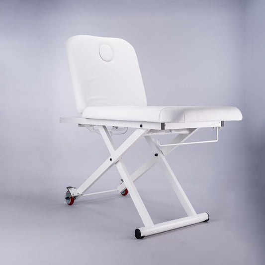 PJS Lumb Electric Beauty Bed With 2 Motors - Everything Wellness