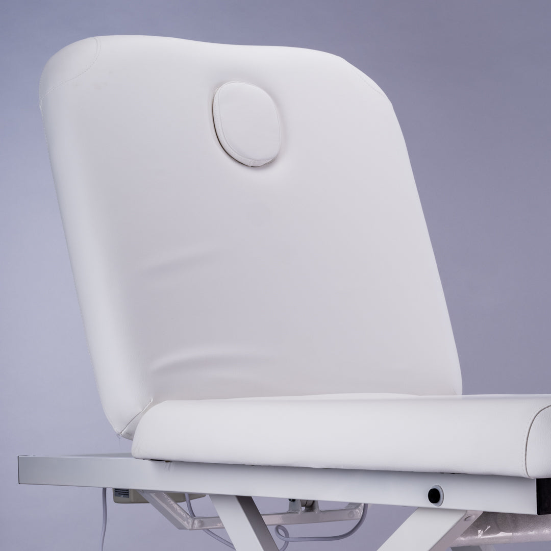 PJS Lumb Electric Beauty Bed With 2 Motors - Everything Wellness