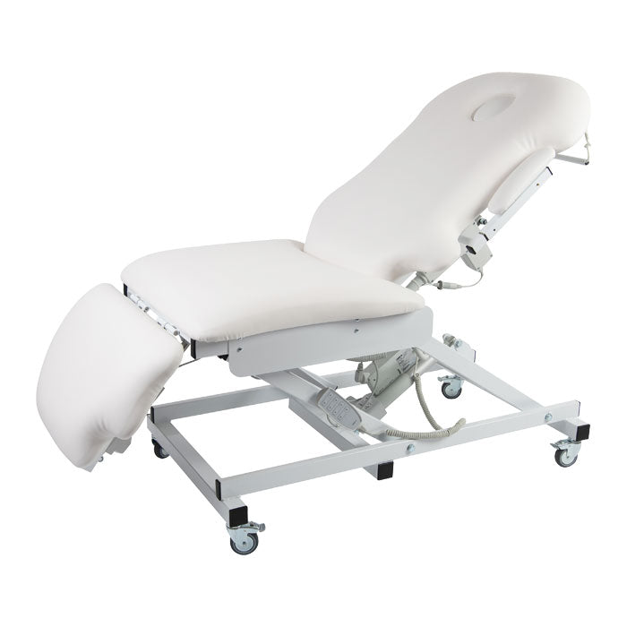 SkinMate Deluxe 4 Motor Electric Couch - Everything Wellness